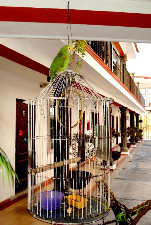 Hotel Maya 2012 Amacuzac Extérieur photo